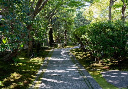 圓徳院のイメージ写真